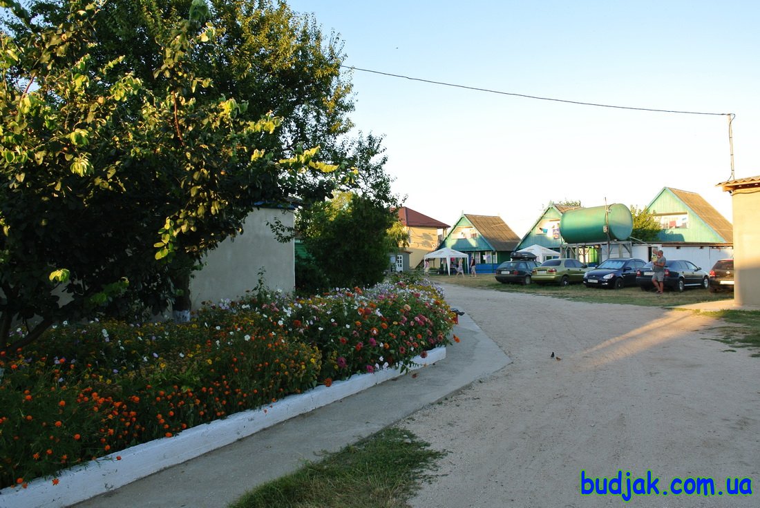 База отдыха Плай - территория. Курорт Рассейка. Фото N 7698. 2016 год